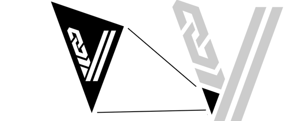 logo explanation the viking zoom